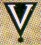 s_vision.jpg (1962 Byte)