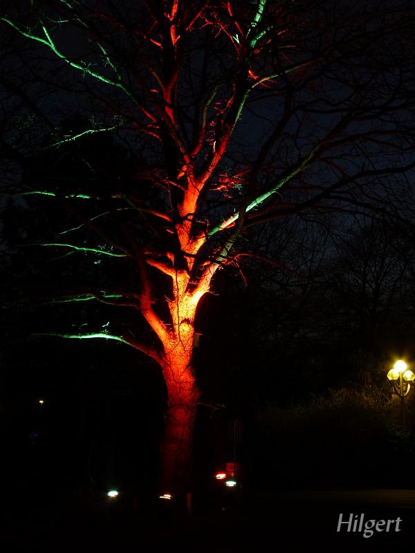 Parkleuchten2010_06.JPG