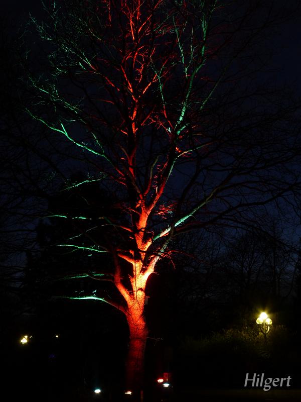 Parkleuchten2010_07.JPG