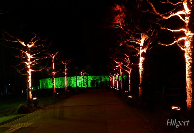 Parkleuchten2010_18.JPG