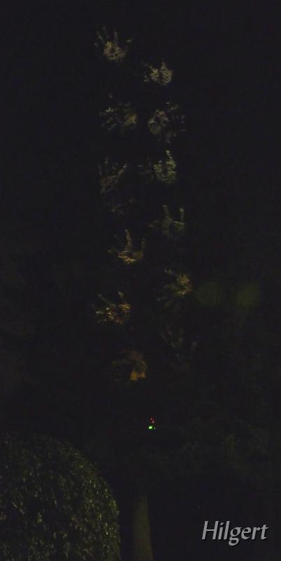 Parkleuchten2010_23.JPG