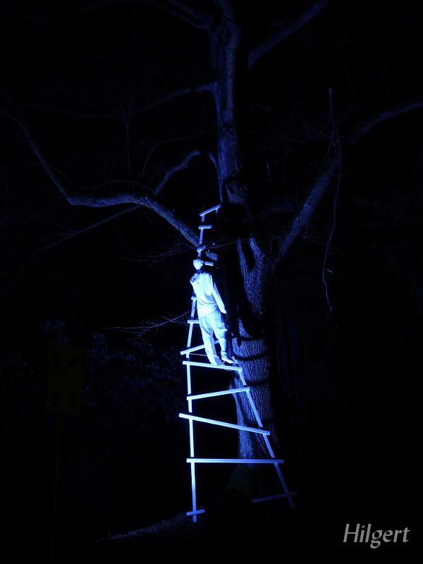 Parkleuchten2010_24.JPG