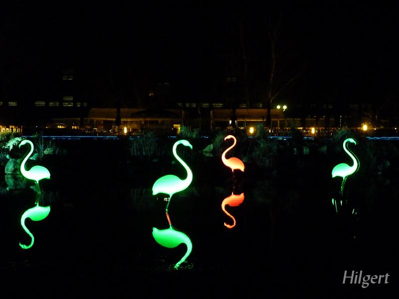 Parkleuchten2010_29.JPG
