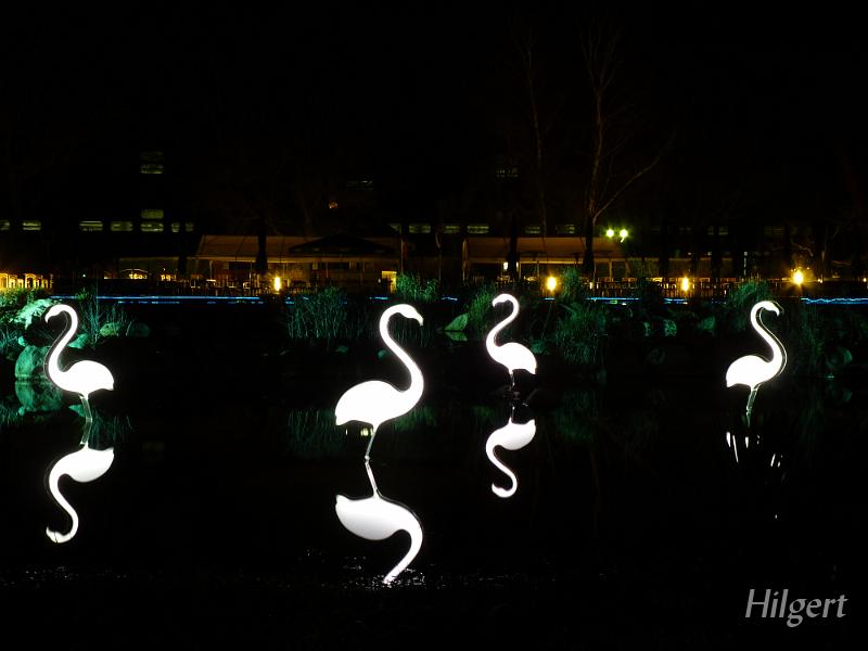 Parkleuchten2010_30.JPG