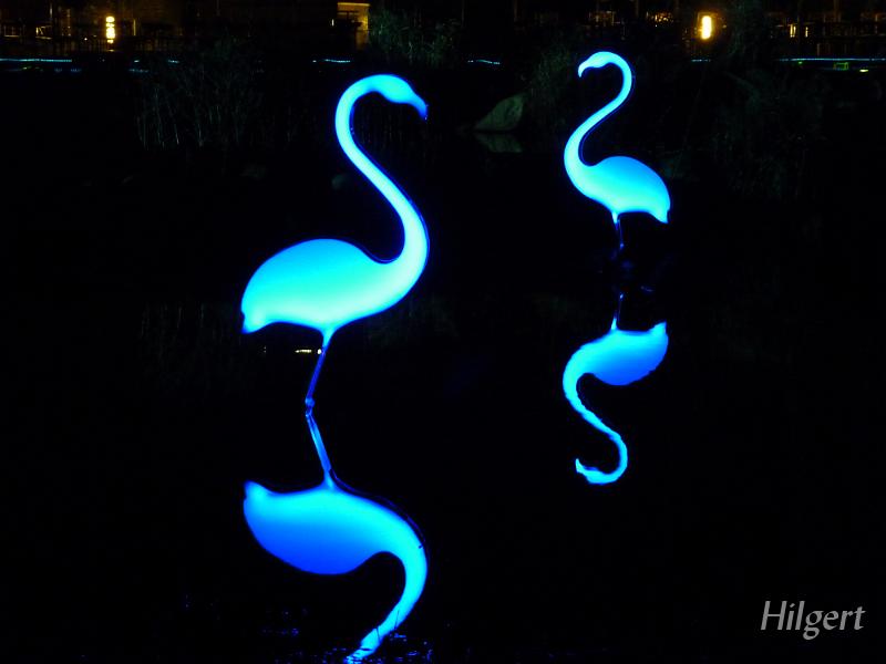 Parkleuchten2010_31.JPG