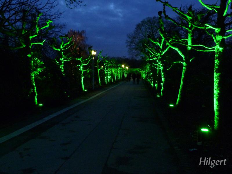 Parkleuchten2011_05.JPG