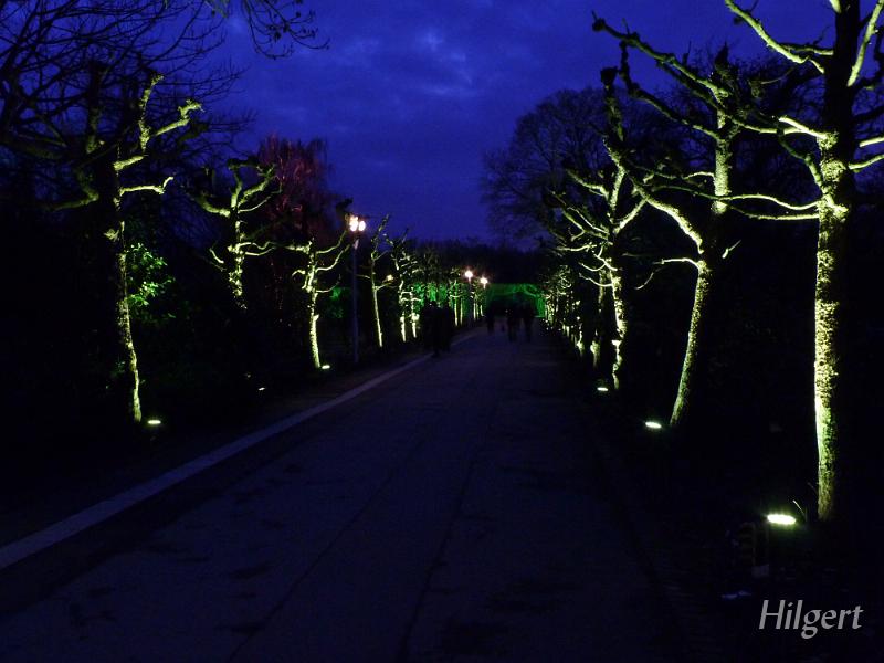 Parkleuchten2011_06.JPG