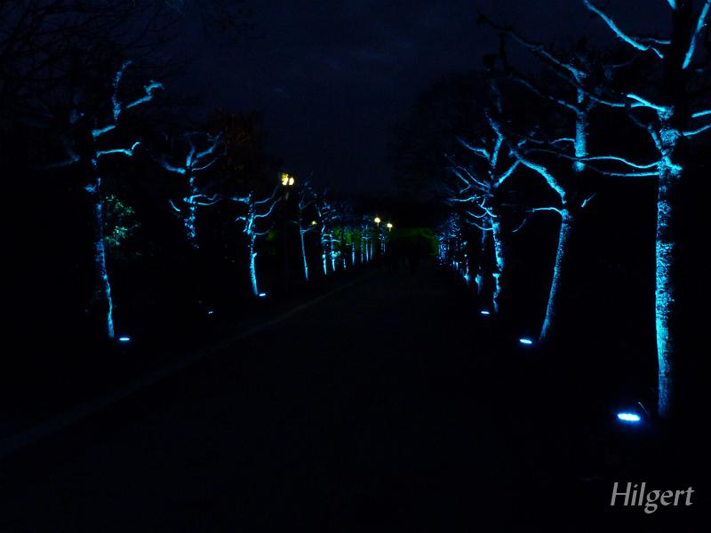 Parkleuchten2011_08.JPG