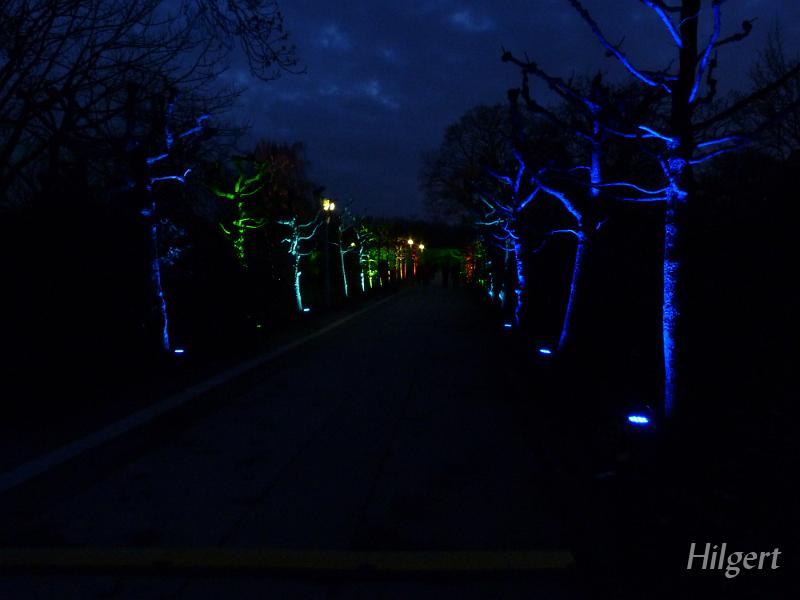 Parkleuchten2011_09.JPG