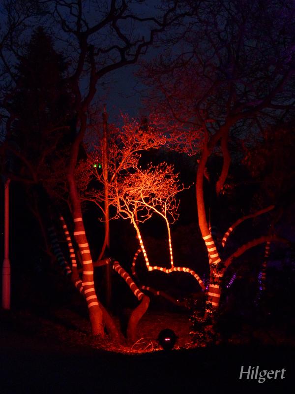 Parkleuchten2011_13.JPG