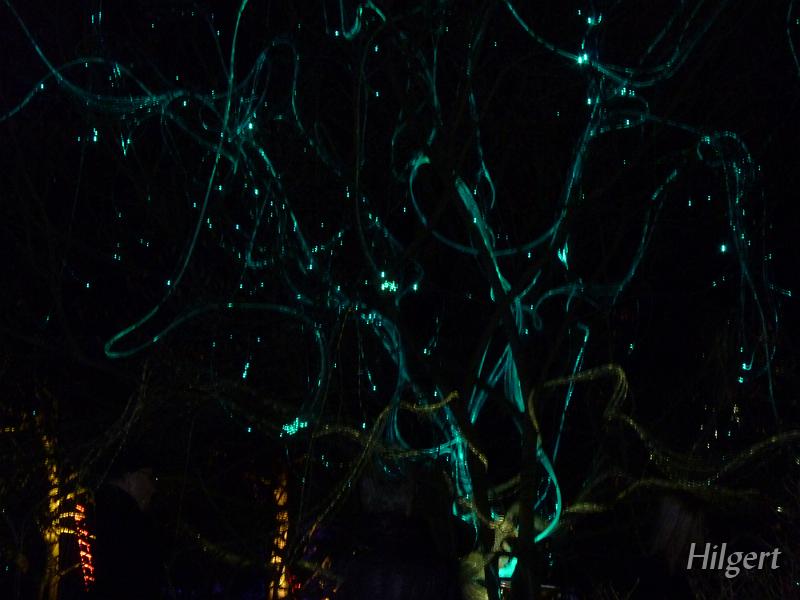 Parkleuchten2011_27.JPG