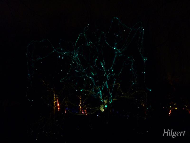 Parkleuchten2011_30.JPG