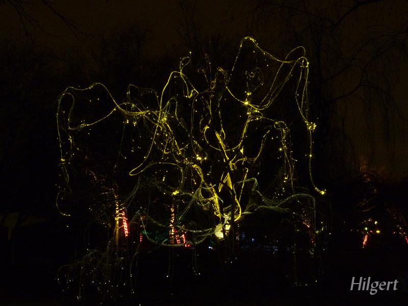 Parkleuchten2011_31.JPG
