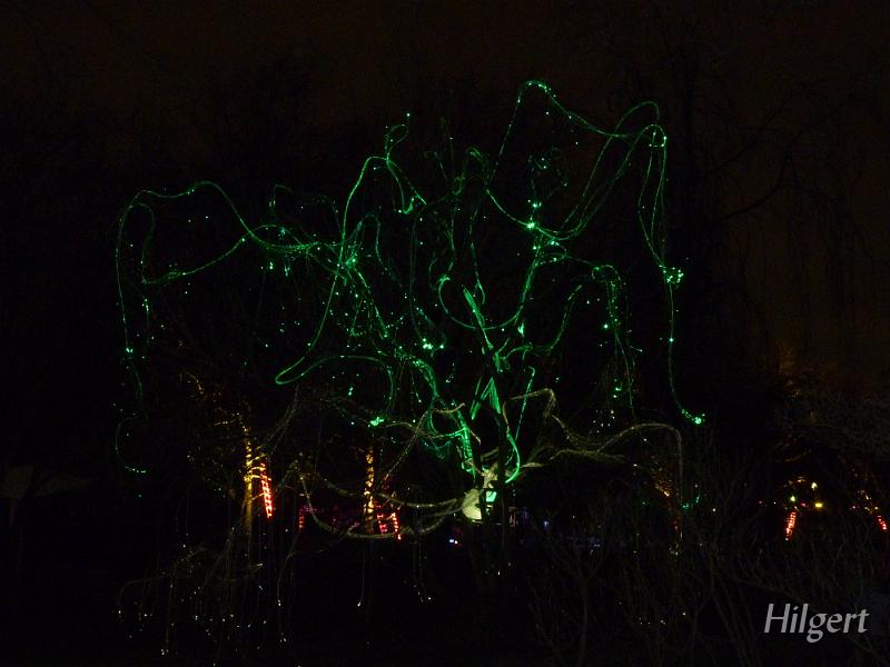 Parkleuchten2011_33.JPG