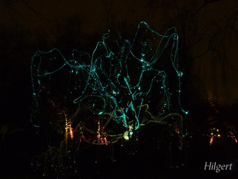 Parkleuchten2011_35.JPG