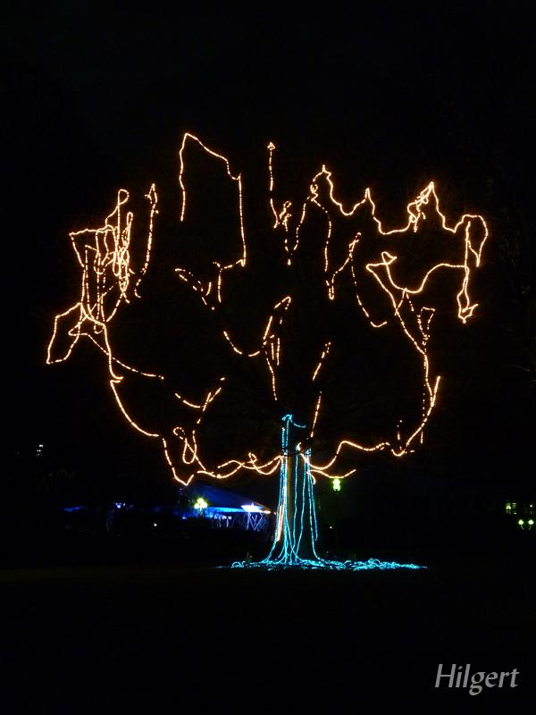 Parkleuchten2011_42.JPG
