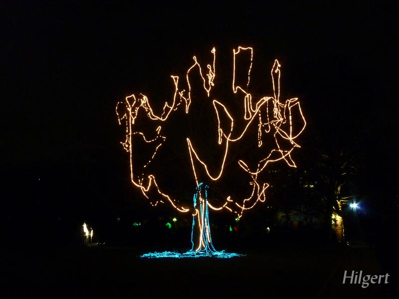Parkleuchten2011_44.JPG